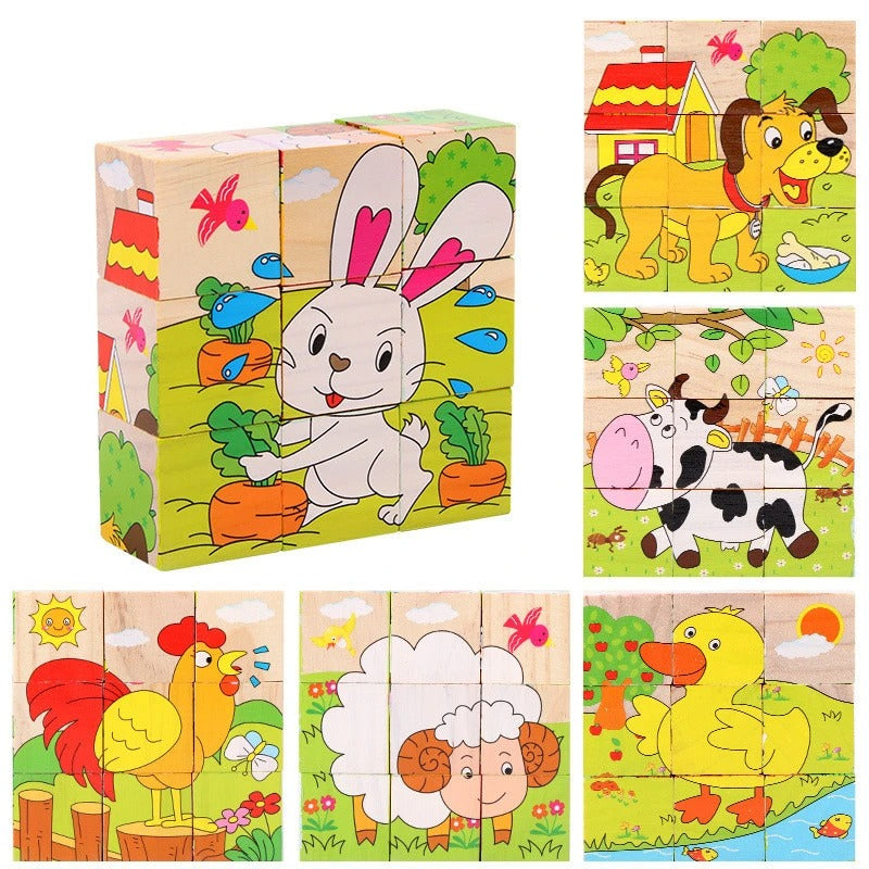 3D Wooden Puzzles 6 in 1