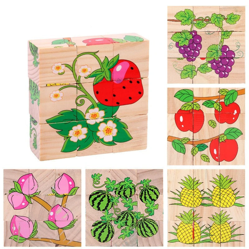 3D Wooden Puzzles 6 in 1