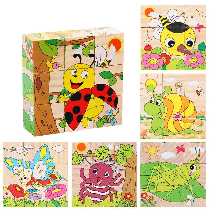 3D Wooden Puzzles 6 in 1