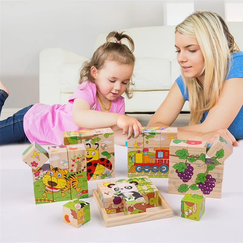 3D Wooden Puzzles 6 in 1