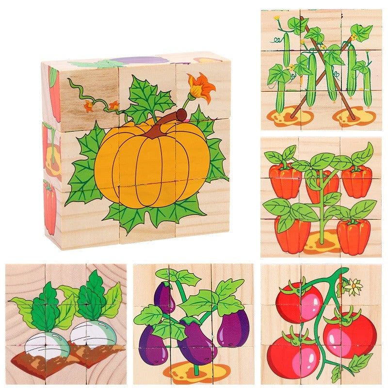 3D Wooden Puzzles 6 in 1