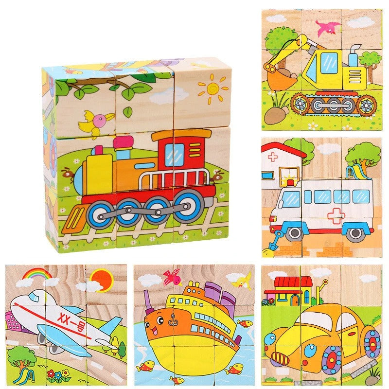 3D Wooden Puzzles 6 in 1