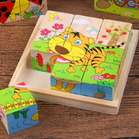 3D Wooden Puzzles 6 in 1