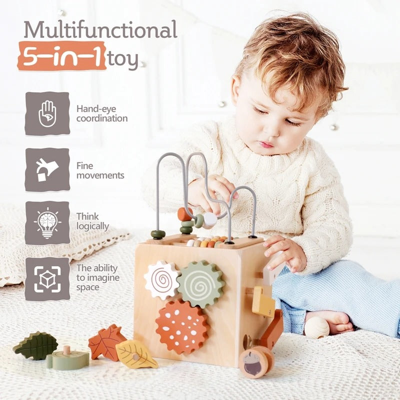 Activity Cube 5 in 1 Wooden Toy | The Squirrel House™